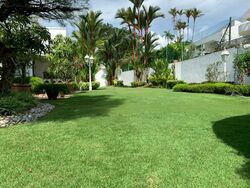 Nassim Road (D10), Detached #468537281